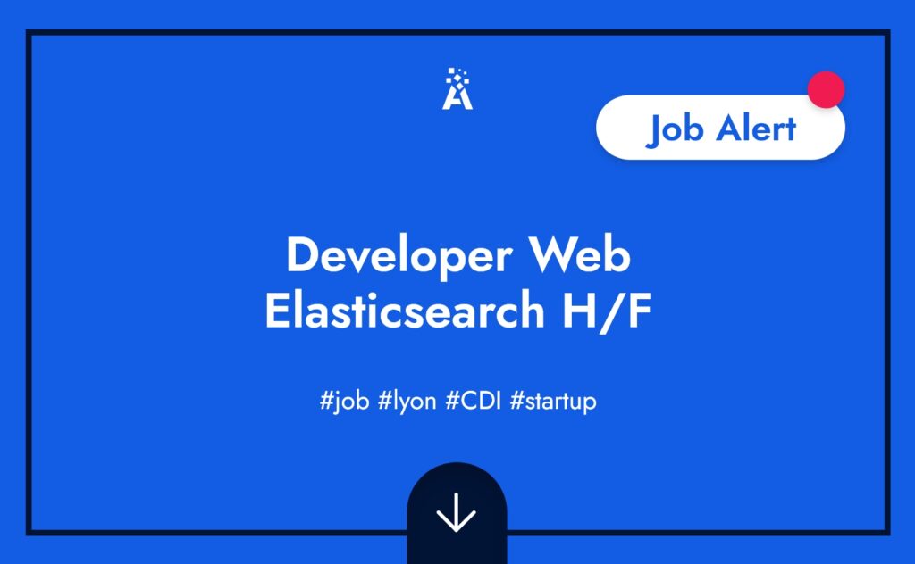 Developer Web Elasticsearch