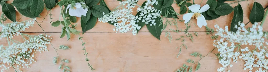 Interflora flores blancas