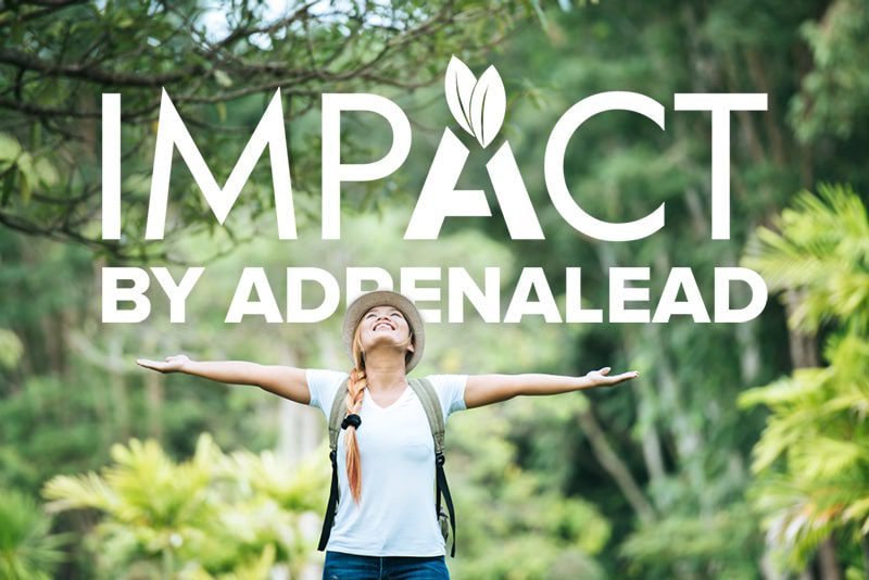 Image showcasing Adrenalead's environmental initiatives and green policies.