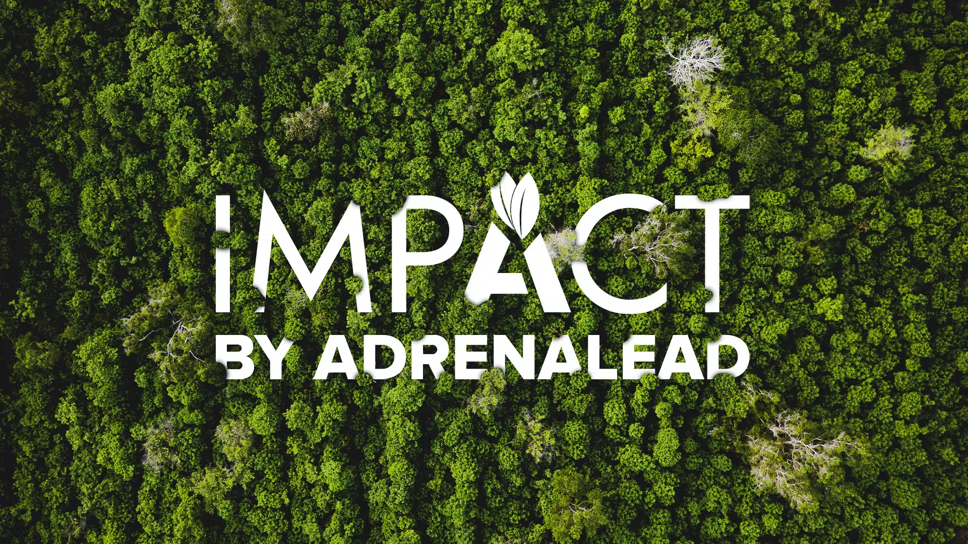 Impact RSE - Adrenalead