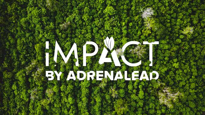 Logo Impact by Adrenalead au dessus d'une forêt dense. 