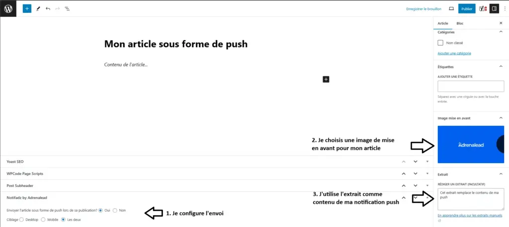 Envoyer un article sous forme de push